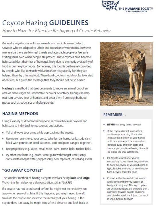 coyote hazing guidelines page 1