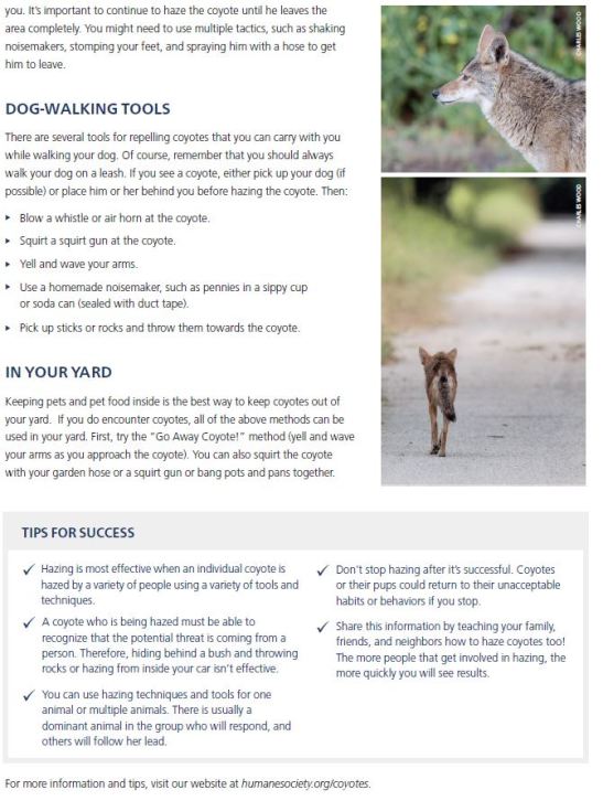 coyote hazing guidelines page 2
