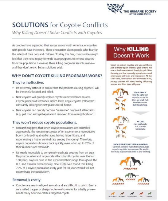 solutions for coyotes page 1