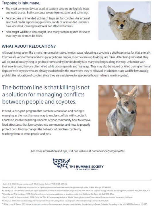 solutions for coyotes page 2